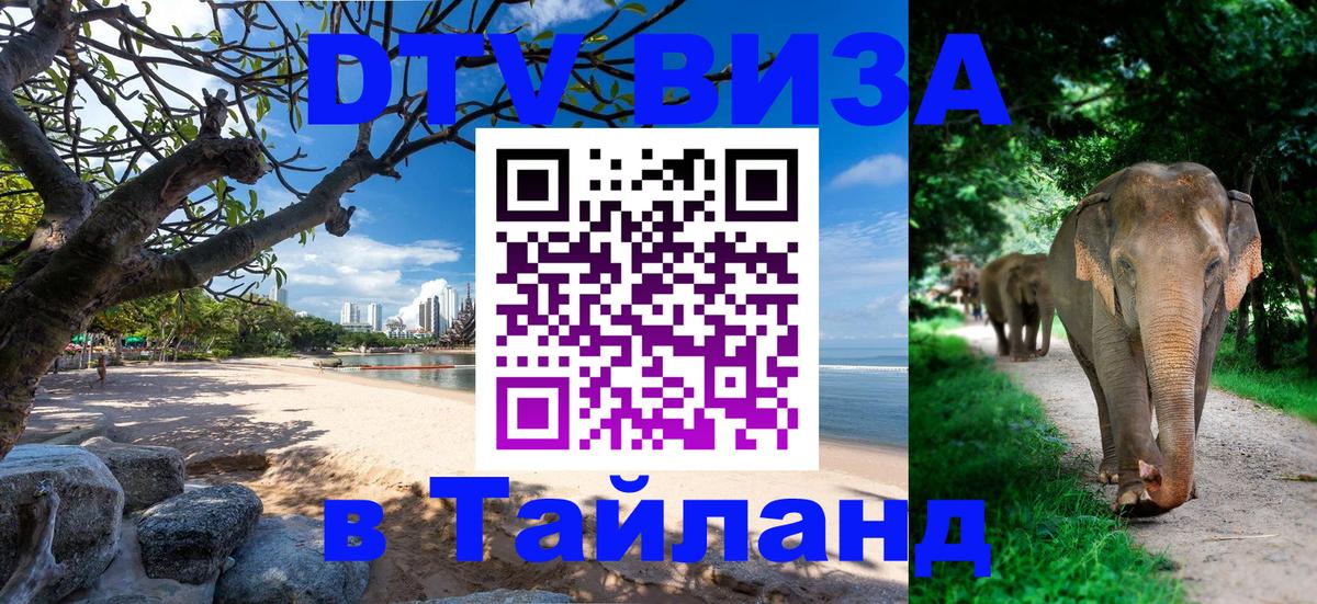 Сколько стоит DTV виза — актуальные цены, оформление даже без документов - 20.11.2025 